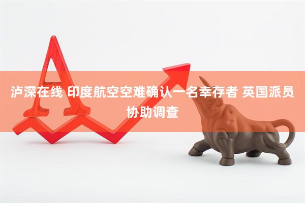 泸深在线 印度航空空难确认一名幸存者 英国派员协助调查