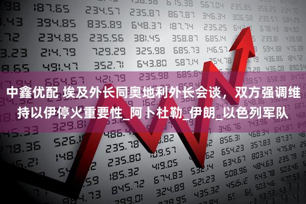 中鑫优配 埃及外长同奥地利外长会谈，双方强调维持以伊停火重要性_阿卜杜勒_伊朗_以色列军队