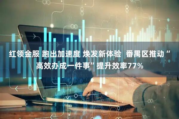 红领金服 跑出加速度 焕发新体验  番禺区推动“高效办成一件事”提升效率77%