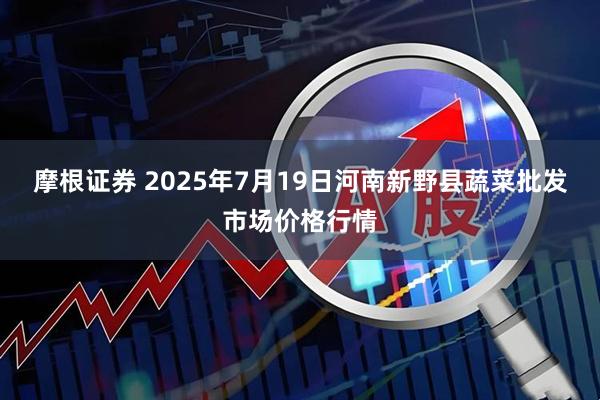 摩根证券 2025年7月19日河南新野县蔬菜批发市场价格行情