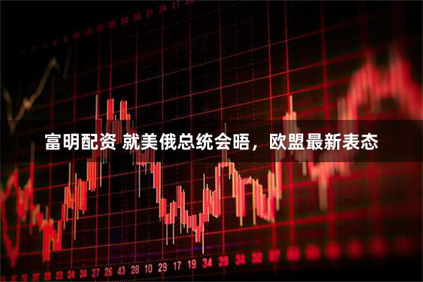 富明配资 就美俄总统会晤，欧盟最新表态