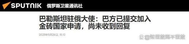 如何看待巴勒斯坦未来加入金砖前景 外交新挑战