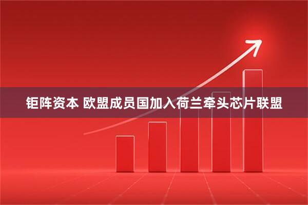 钜阵资本 欧盟成员国加入荷兰牵头芯片联盟